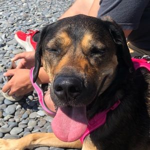 Meet your Posher, Alan